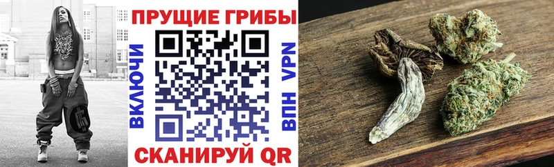 Купить  Гулькевичи  Псилоцибиновые грибы Magic Shrooms 